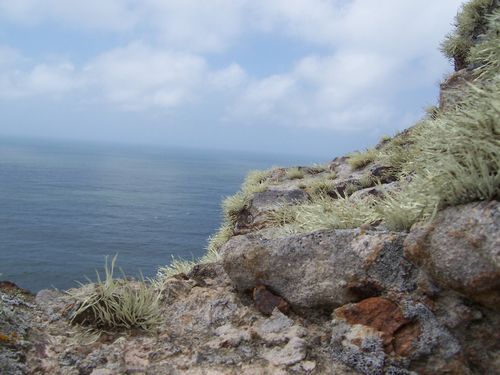 Point Rayes National Seashore (palo-alto_100_8301.jpg) wird geladen. Eindrucksvolle Fotos von der Westküste Amerikas erwarten Sie.